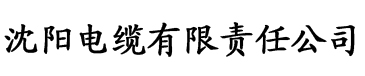 国产日韩精品中文字无码电缆厂logo